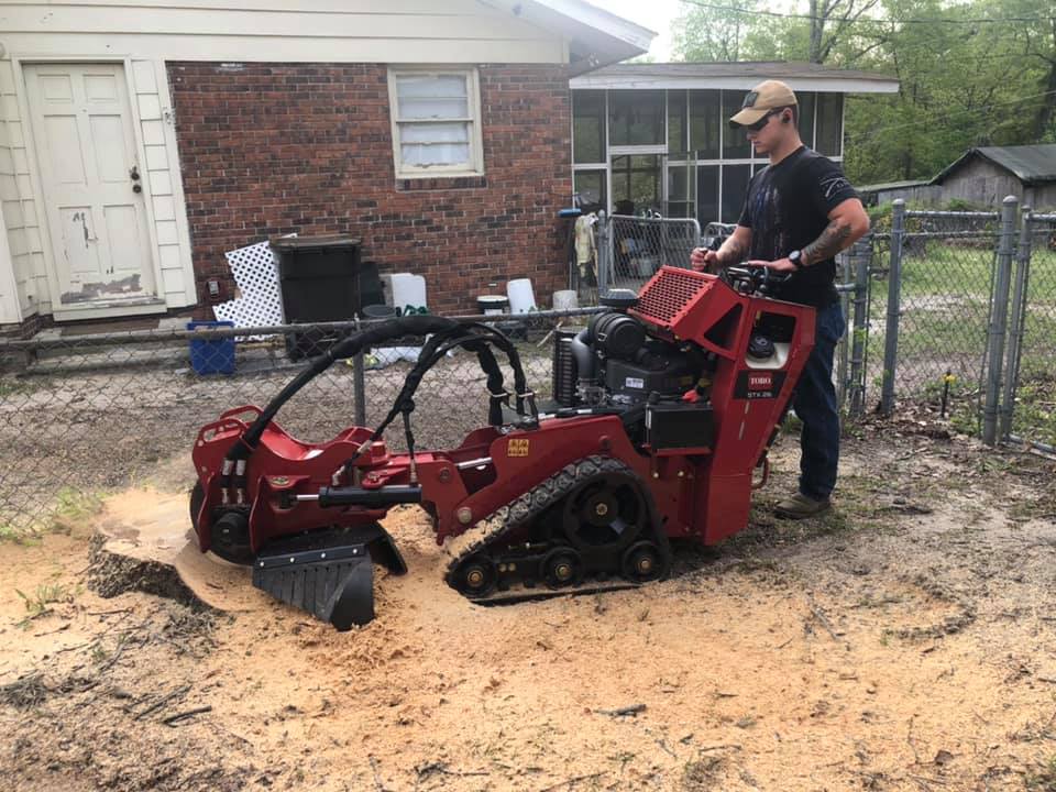 Bishop's Stump Grinding